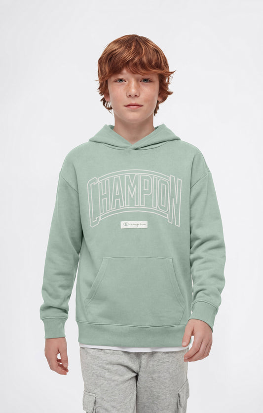 Boys' Hooded Sweatshirt with Puff Print
